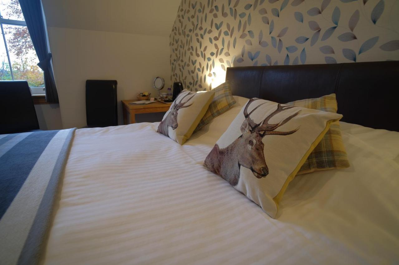 דרמנדרוכיט Morlea Bed & Breakfast מראה חיצוני תמונה